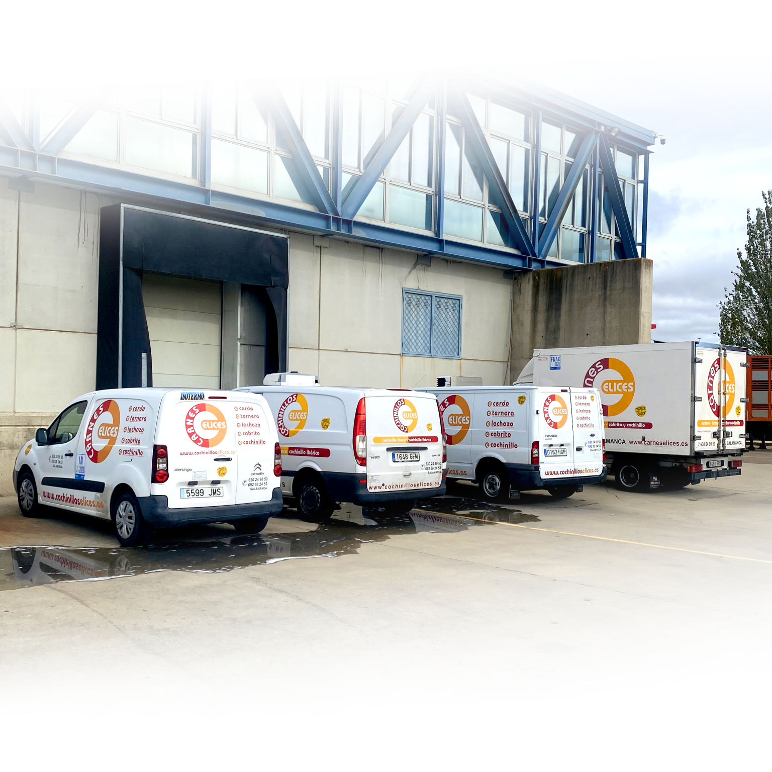 servicios y distribución